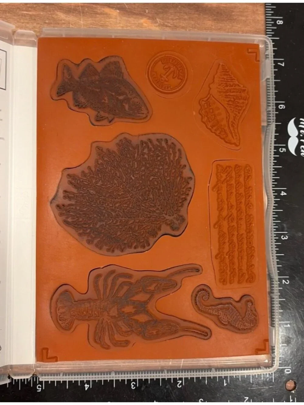 BNDL STAMPIN UP 129120 BY THE TIDE STAMP SET & SOFTLY FALLING EMBOSSING FOLDER - Picture 5 of 5